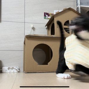 베스트 후기 이미지