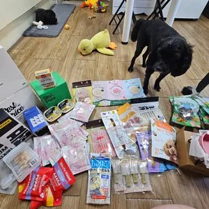 베스트 후기 이미지