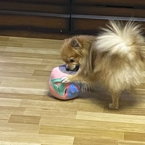 베스트 후기 이미지