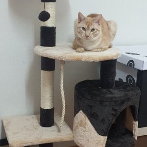 베스트 후기 이미지