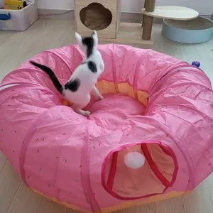 베스트 후기 이미지