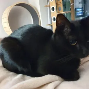 베스트 후기 이미지