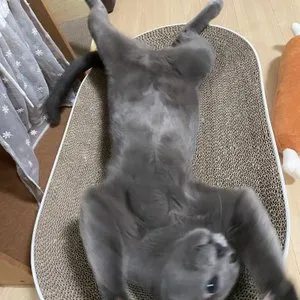 베스트 후기 이미지