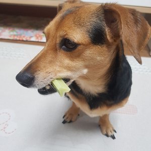 베스트 후기 이미지