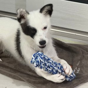 베스트 후기 이미지