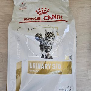 베스트 후기 이미지