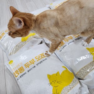 베스트 후기 이미지