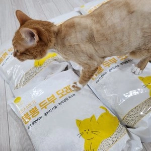 [무료배송] 뽀시래기 뽕뽕 두부 모래 오리지널 7L 6개입 베스트 후기 이미지