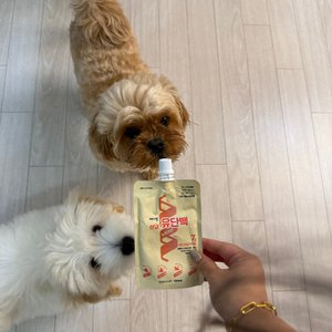 베스트 후기 이미지