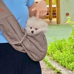 베스트 후기 이미지