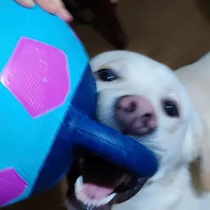 베스트 후기 이미지