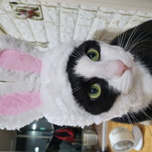 베스트 후기 이미지