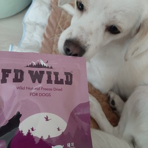 베스트 후기 이미지