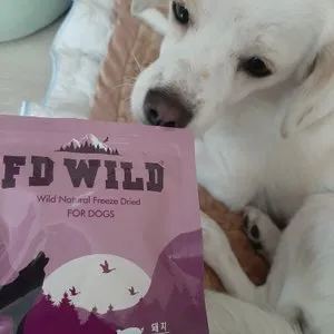 베스트 후기 이미지