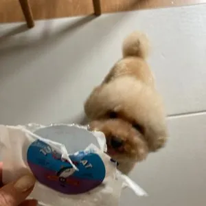 베스트 후기 이미지