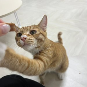 베스트 후기 이미지