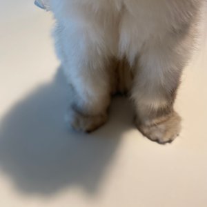 베스트 후기 이미지
