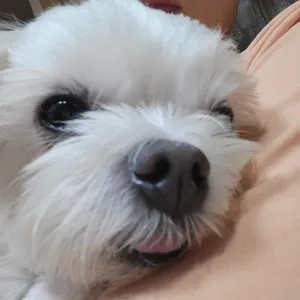 베스트 후기 이미지