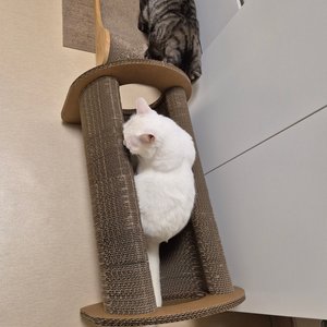 베스트 후기 이미지