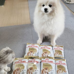 베스트 후기 이미지