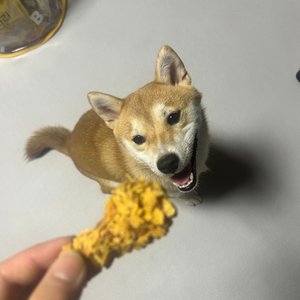 베스트 후기 이미지