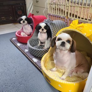 베스트 후기 이미지