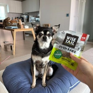 [체험단] 와이즈테일 독 오븐베이크 램 30g*2ea 베스트 후기 이미지