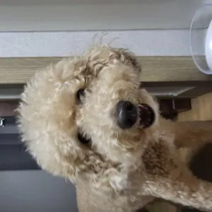 베스트 후기 이미지