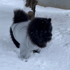 베스트 후기 이미지