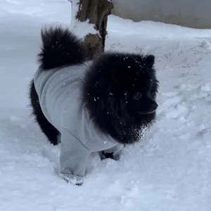 베스트 후기 이미지