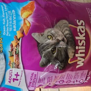 베스트 후기 이미지