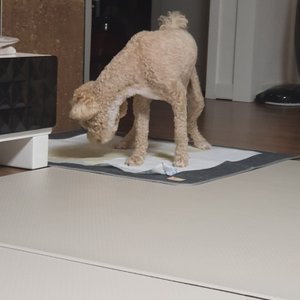 베스트 후기 이미지