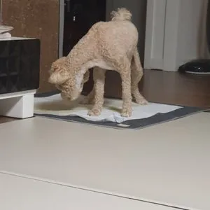 베스트 후기 이미지