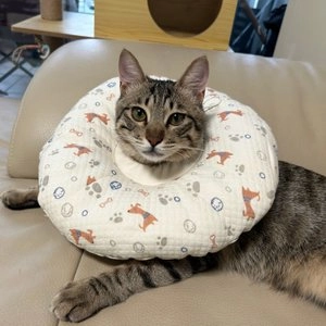 [무료배송] 도그아이 목화솜쿠션 넥카라 퍼피/다이아/스트라이프 S-XL 베스트 후기 이미지