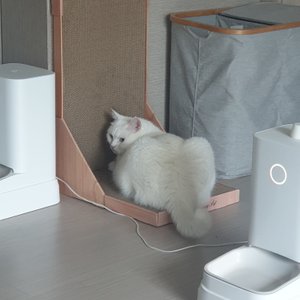베스트 후기 이미지