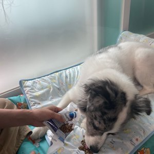 베스트 후기 이미지