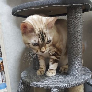 베스트 후기 이미지