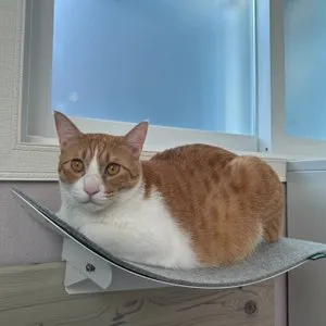 베스트 후기 이미지