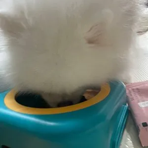 베스트 후기 이미지