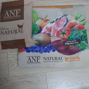 ANF 캣 6 Free 플러스 어덜트 모음 베스트 후기 이미지