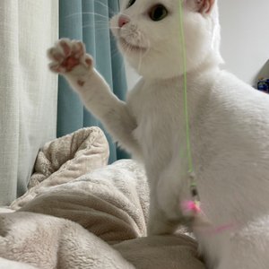 베스트 후기 이미지