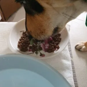 베스트 후기 이미지