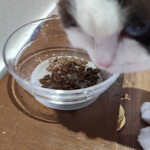 베스트 후기 이미지