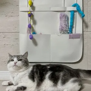 베스트 후기 이미지