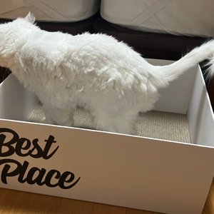 베스트 후기 이미지