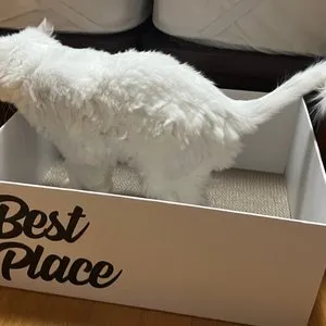 베스트 후기 이미지