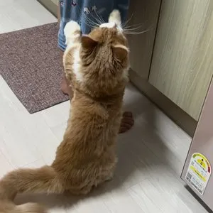 베스트 후기 이미지