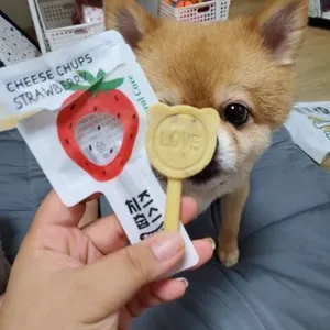 베스트 후기 이미지