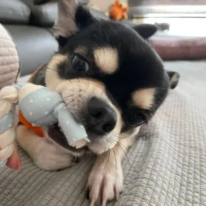 베스트 후기 이미지