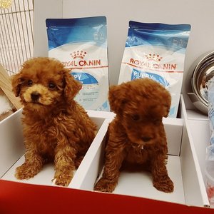 베스트 후기 이미지